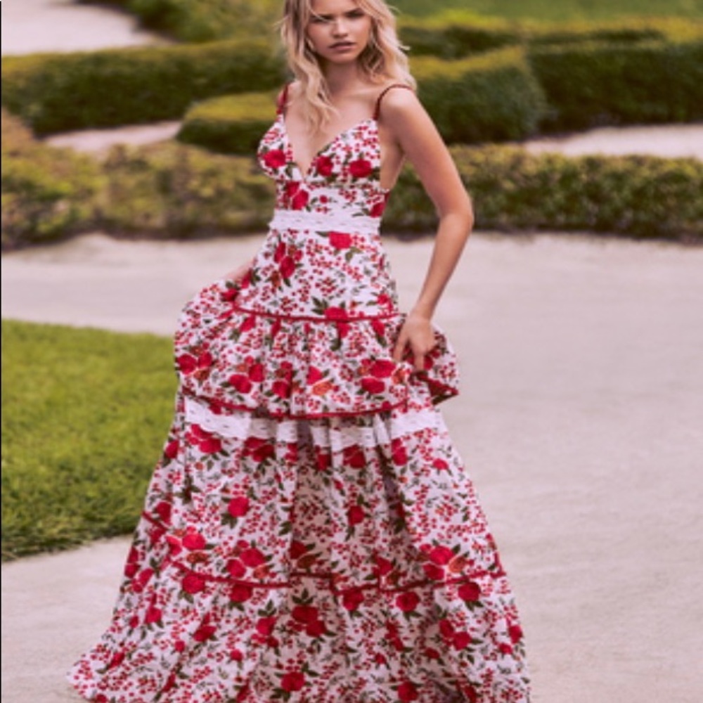 Alexis Naomie rose embroidered gown